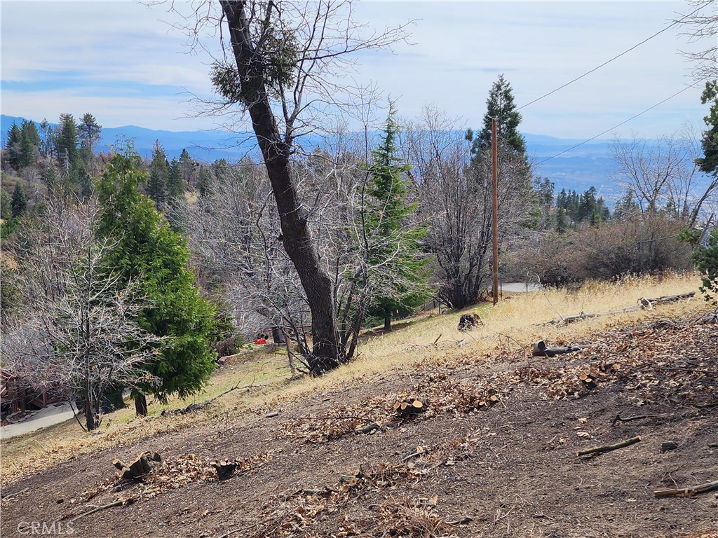 MLS #IG25045374 image #6