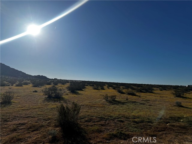 Detail Gallery Image 3 of 8 For 29 Pineridge Rd, Adelanto,  CA 92301 - – Beds | – Baths