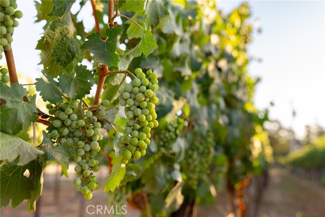 Detail Gallery Image 27 of 49 For 2143 Buena Vista Ave, Gilroy,  CA 95020 - 0 Beds | 1 Baths