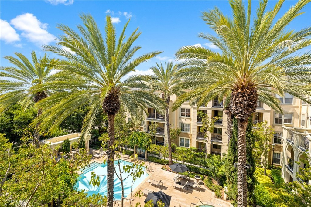 65e1ac77 C9e7 46d6 A82a C942963e187a