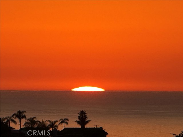 Front Image Thumbnail for CROC26036623