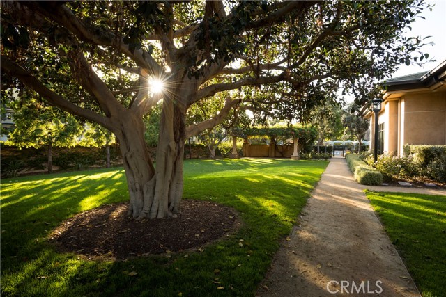 13031 Villosa Place, Playa Vista CA: https://media.crmls.org/medias/65e97d8a-8952-4da4-90cf-206937cf2dc1.jpg