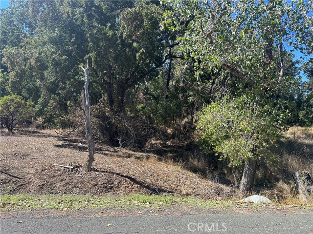 Detail Gallery Image 14 of 20 For 1000 Eva Way, Lakeport,  CA 95453 - – Beds | – Baths