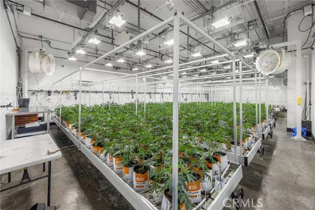 Image 30 of 54 For 44211 Yucca