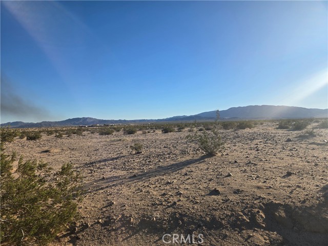 Detail Gallery Image 3 of 6 For 1234 Amboy, Twentynine Palms,  CA 92277 - – Beds | – Baths