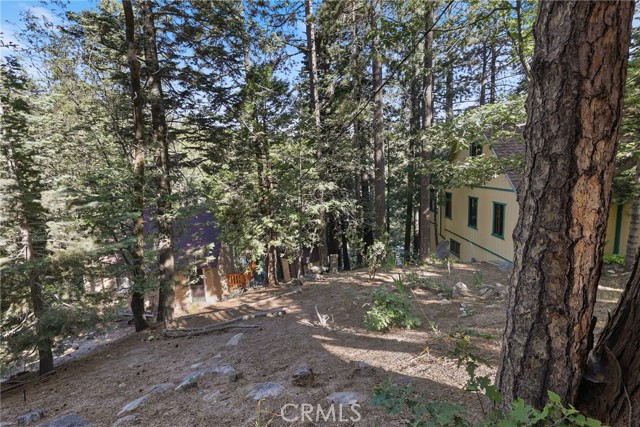 8 Lake Forest Drive, Twin Peaks CA: https://media.crmls.org/medias/65f6050b-2604-4dfb-b127-29a94bd5c942.jpg