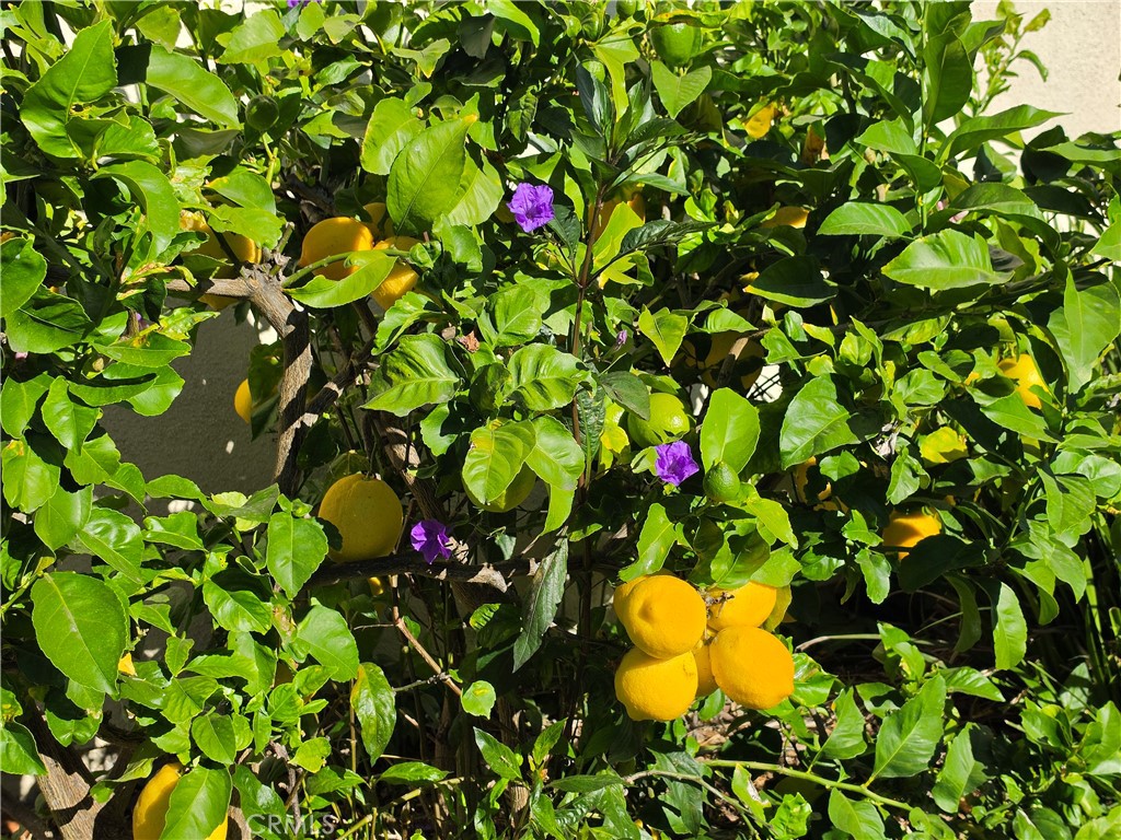 https://media.crmls.org/medias/65f623a0-718d-476b-81cc-9dcc4f17488b.jpg?preset=X-Large