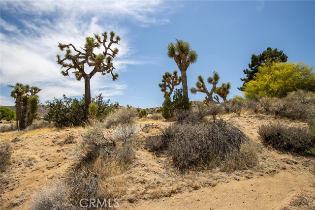 8385 Elk Court, Yucca Valley CA: https://media.crmls.org/medias/65f70bfd-3970-4e74-b054-e987bf887316.jpg