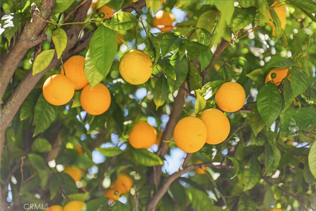 https://media.crmls.org/medias/6607a723-0024-4c6c-9a91-1e449ee55c45.jpg?preset=X-Large