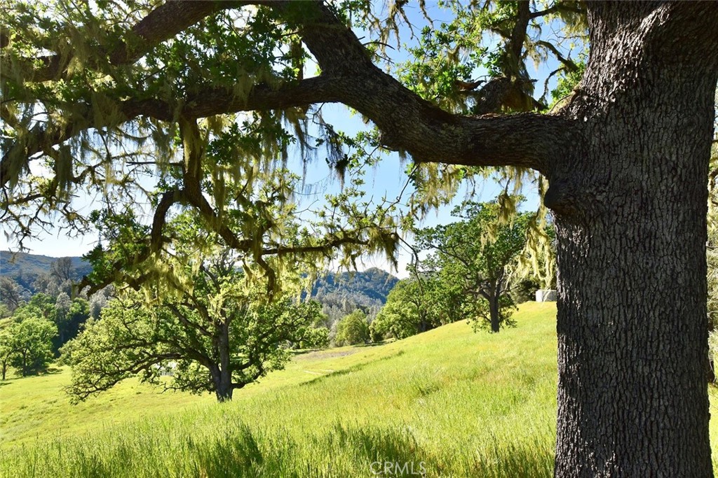 https://media.crmls.org/medias/66143424-4f78-426a-bfa2-113b188dbcbf.jpg?preset=X-Large