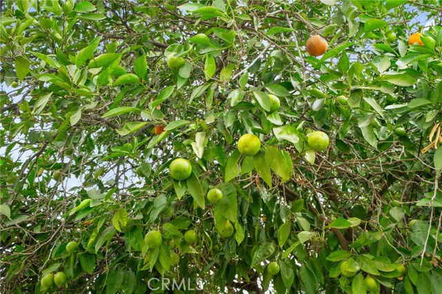 Detail Gallery Image 29 of 32 For 1421 Valencia, San Bernardino,  CA 92404 - 3 Beds | 2 Baths