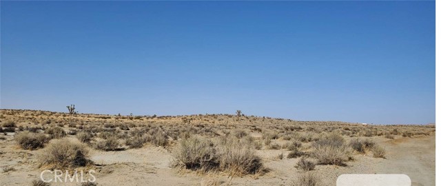 24200 Avenue O, Other - See Remarks, CA, 93591 24200 Avenue O, Other - See Remarks, CA, 93591