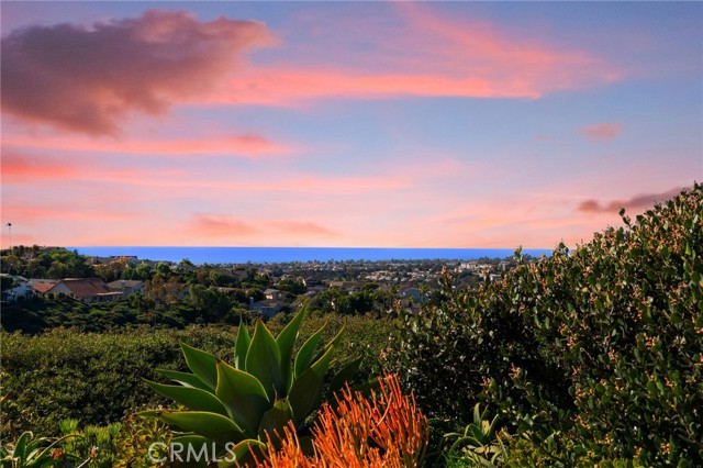 Detail Gallery Image 63 of 64 For 2880 Calle Guadalajara, San Clemente,  CA 92673 - 4 Beds | 2/1 Baths