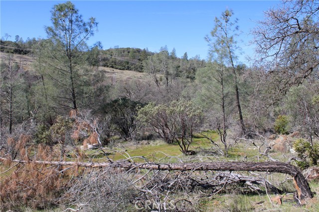Detail Gallery Image 27 of 35 For 0 Condor Rd, Oroville,  CA 95965 - – Beds | – Baths