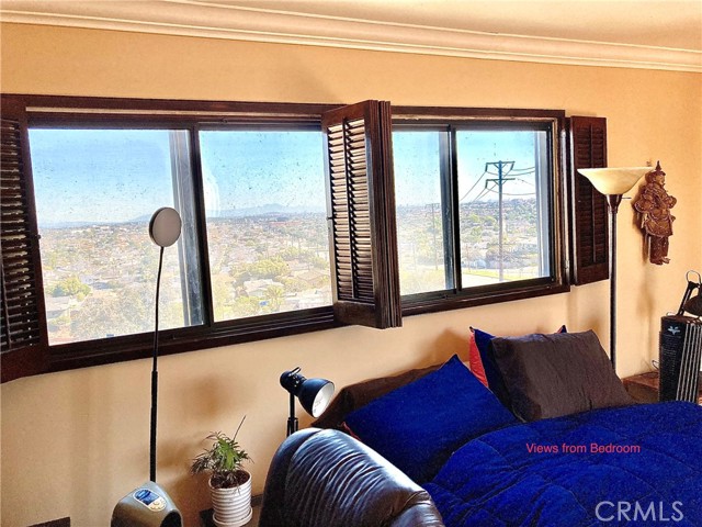 City Views from the Master Bedroom.