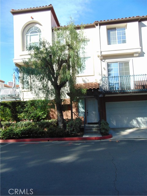 Front Image Thumbnail for CROC26016801