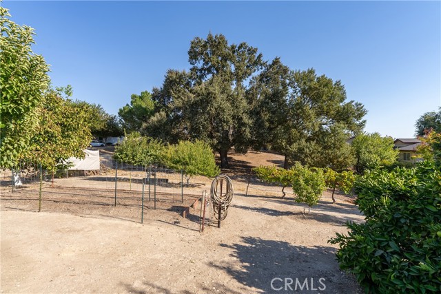 Detail Gallery Image 52 of 59 For 720 N Trigo Ln, Paso Robles,  CA 93446 - 3 Beds | 2/1 Baths