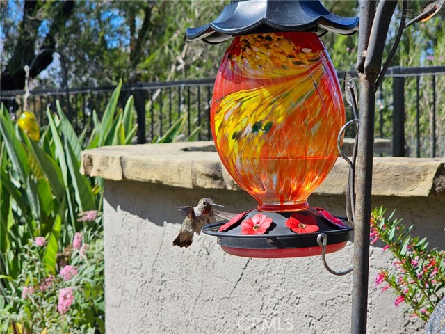 21351 Birdhollow Drive, Rancho Santa Margarita CA: https://media.crmls.org/medias/662eb759-b45d-4f10-833a-d59d3830bb10.jpg