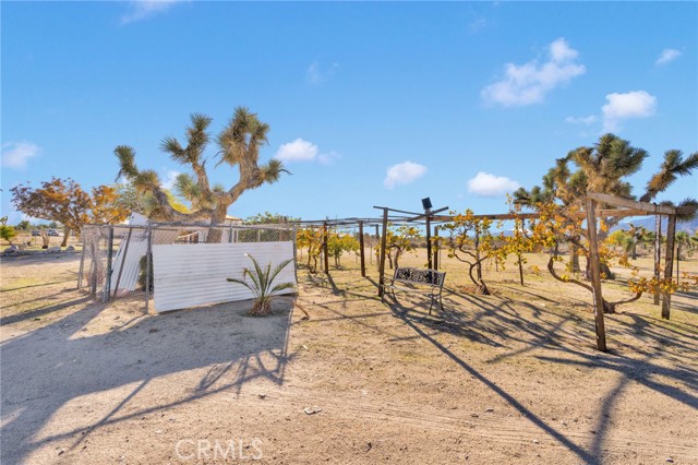 11924 Mountain Road, Pinon Hills CA: https://media.crmls.org/medias/663611c5-0645-4c65-b728-1e353e376b88.jpg