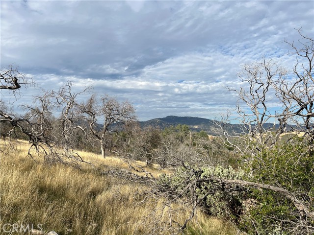 Detail Gallery Image 50 of 69 For 4934 Guadalupe Fire, Catheys Valley,  CA 95306 - – Beds | – Baths