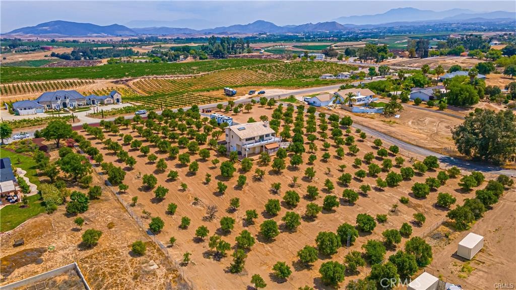 33851 Madera De Playa