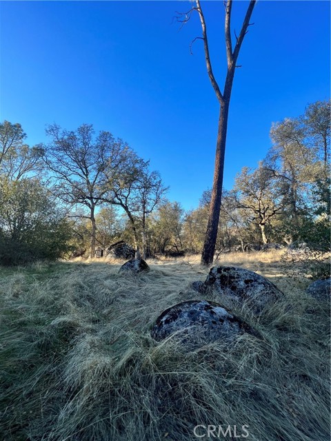 4248 Burl Dr., Mariposa, CA, 95338 4248 Burl Dr., Mariposa, CA, 95338