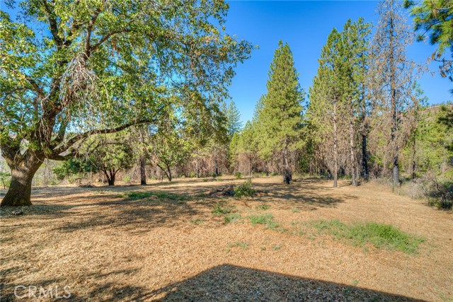 Detail Gallery Image 42 of 66 For 110 Black Bear Rd, Berry Creek,  CA 95916 - 2 Beds | 2 Baths