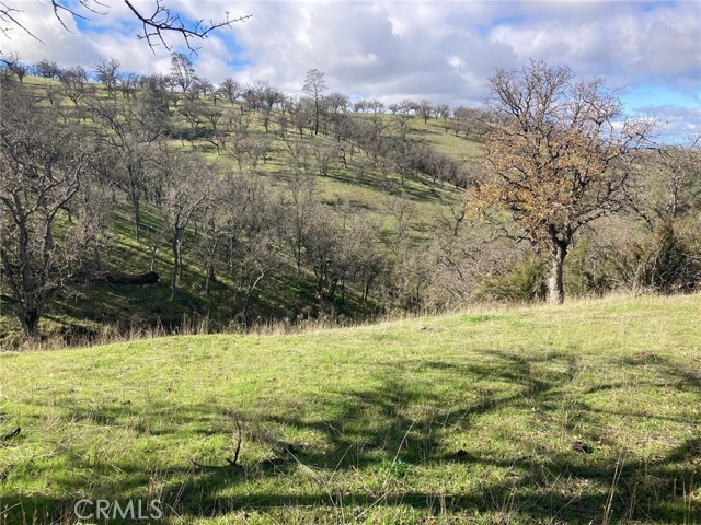 Detail Gallery Image 1 of 1 For 2740 Calf Canyon, Creston,  CA 93432 - – Beds | – Baths