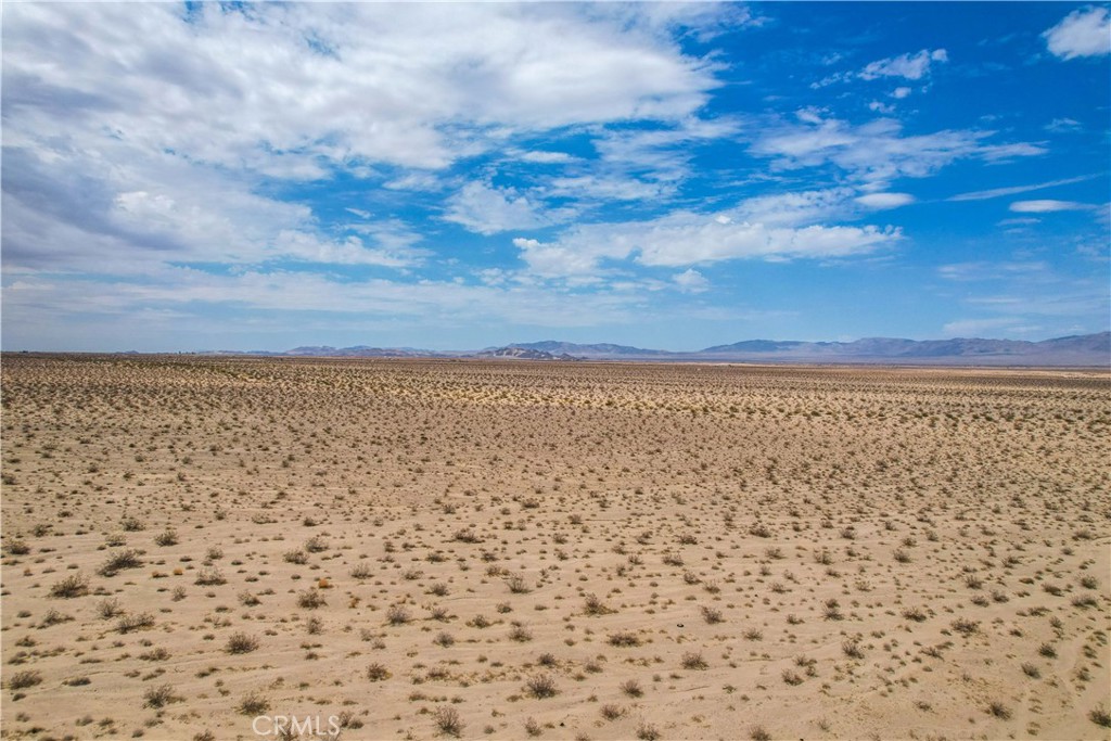 MLS #JT25081343 image #17