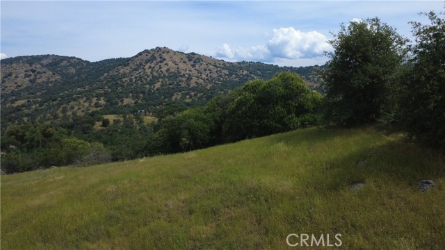 Front Image Thumbnail for CRFR26185638