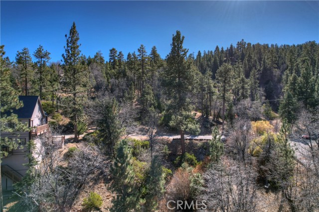 Detail Gallery Image 11 of 15 For 0 Thrush Ct, Big Bear Lake,  CA 92315 - – Beds | – Baths