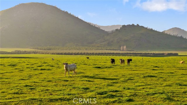 Detail Gallery Image 5 of 51 For 19400 398, Woodlake,  CA 93286 - – Beds | – Baths