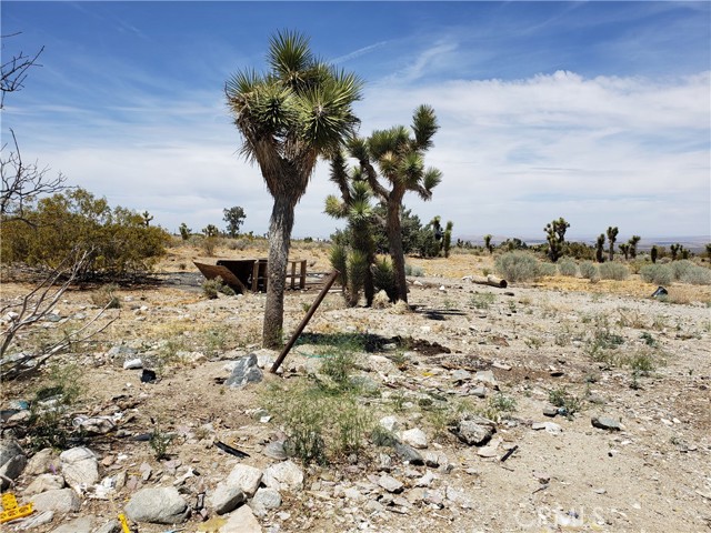Detail Gallery Image 10 of 12 For 20649 E Avenue Y, Llano,  CA 93544 - 0 Beds | 1 Baths
