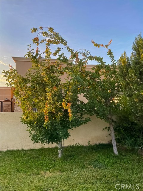 42722 20th W Street, Lancaster CA: https://media.crmls.org/medias/6658351c-3acf-464a-adf9-0f966209b292.jpg