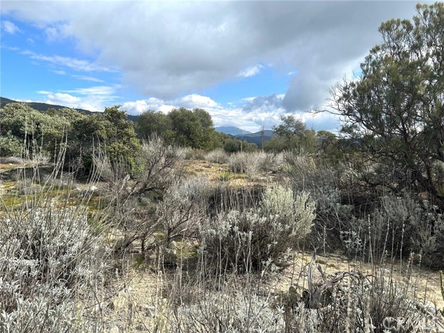 Front Image Thumbnail for CRSW26027953