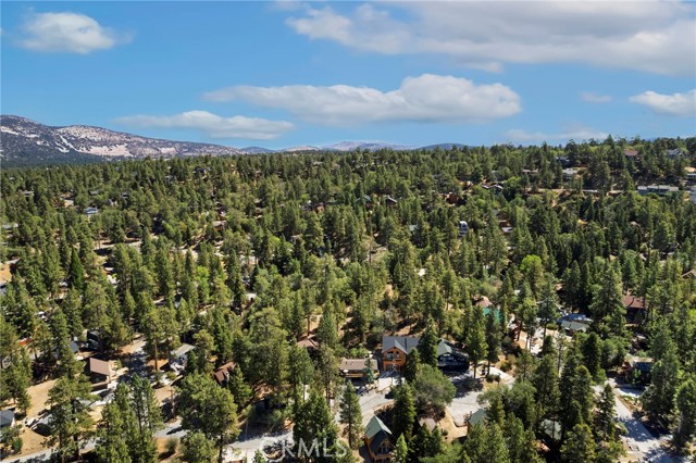 771 Silver Tip Drive, Big Bear Lake, CA 92315