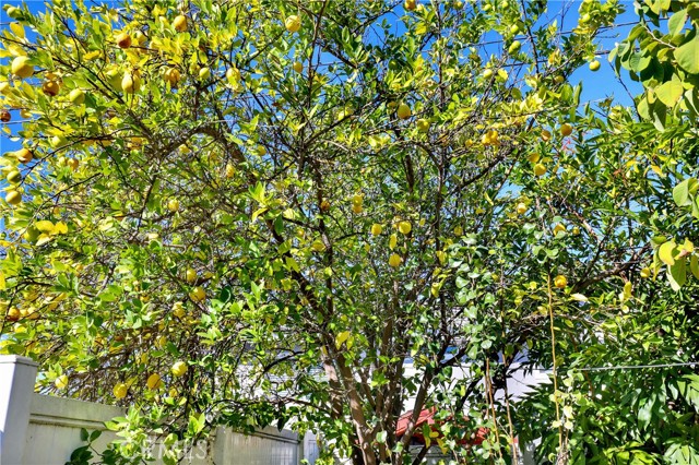 Detail Gallery Image 25 of 25 For 23561 Duryea Dr, Lake Forest,  CA 92630 - 5 Beds | 3 Baths