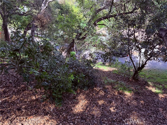 11472 Laurelcrest dr, Studio City CA: https://media.crmls.org/medias/6661ada1-3f3b-4dbc-8e47-ea3f240e8eb5.jpg