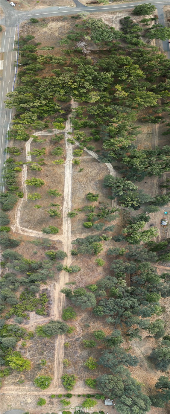 Front Image Thumbnail for CRLC25231537