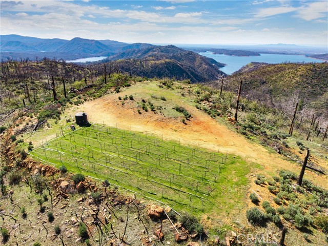 0 Big Ridge Road, Berry Creek CA: https://media.crmls.org/medias/66659d46-bb32-4c5e-ae19-241d5df56143.jpg