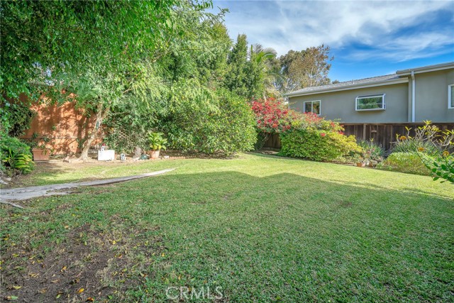 Another view of the back yard