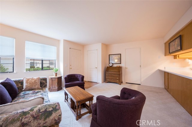 LivingRoom / Kitchen Counter