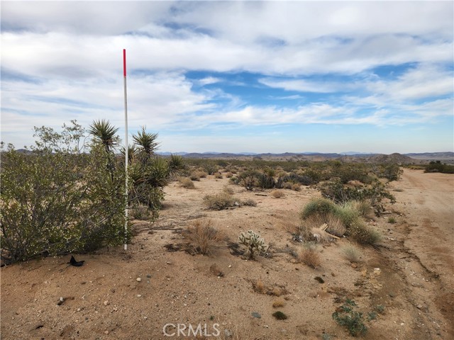 Detail Gallery Image 8 of 23 For 4147 Sunburst St, Joshua Tree,  CA 92252 - – Beds | – Baths