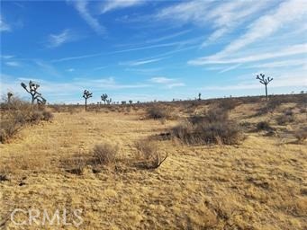 Image 2 of 7 For 0 Avenue G And 180th St East