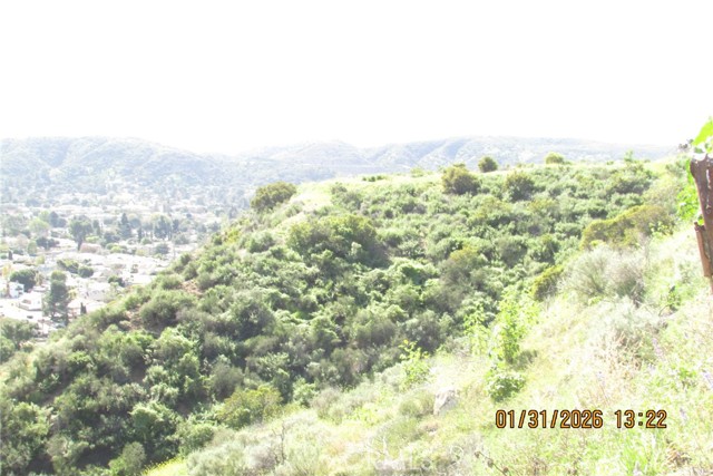 Detail Gallery Image 19 of 51 For 8001 Denivelle Rd., Sunland,  CA 91040 - – Beds | – Baths