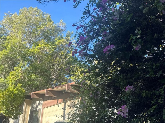 Detail Gallery Image 3 of 47 For 11551 Decente, Studio City,  CA 91604 - 2 Beds | 2 Baths