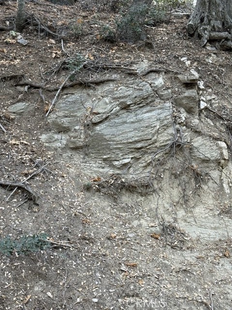 Detail Gallery Image 12 of 16 For 0 Mojave River Rd, Cedarpines Park,  CA 92322 - – Beds | – Baths