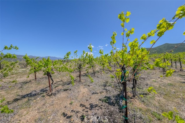 35288 Highway 79, Warner Springs, CA, 92086 35288 Highway 79, Warner Springs, CA, 92086