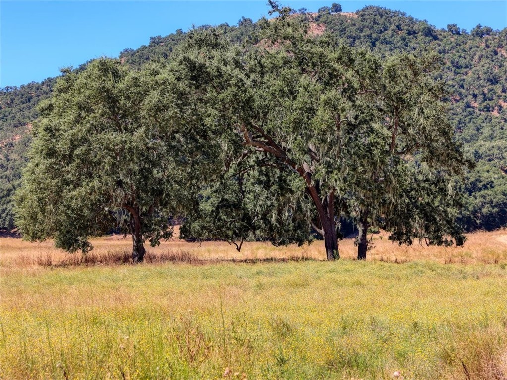 Detail Gallery Image 55 of 71 For 5720 Huasna Townsite Rd, Arroyo Grande,  CA 93420 - 6 Beds | 3/2 Baths