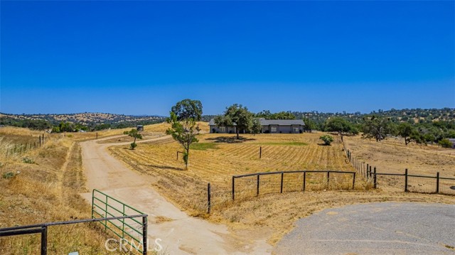 35095 Rough Rider Way, Raymond CA: https://media.crmls.org/medias/6686cc80-b66a-4e25-bb29-ecabf9c1b57e.jpg